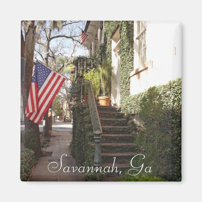 Savannah Staircase Magnet (Vorne)