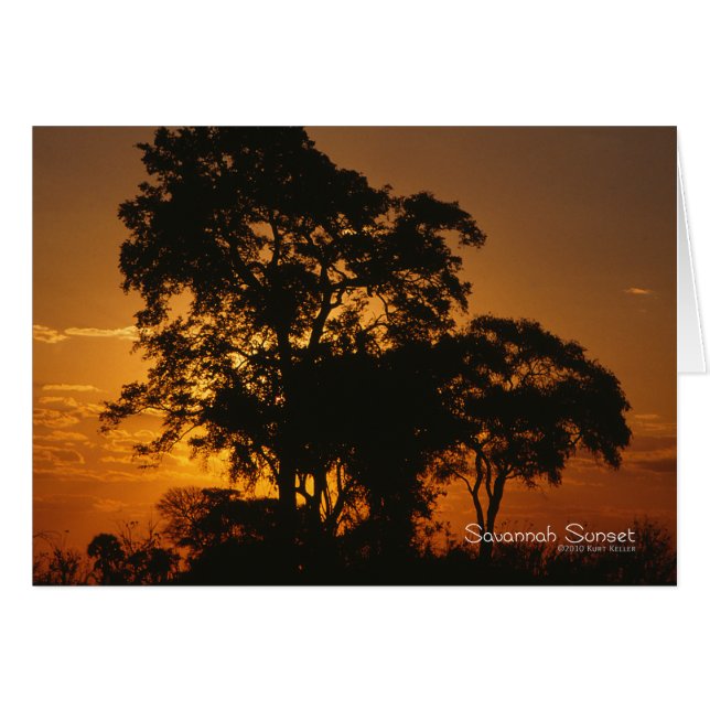 Savannah Sunset (Vorderseite (Horizontal))