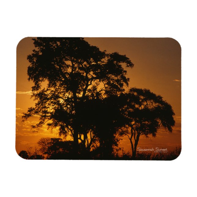 Savannah Sunset Foto Magnet (Horizontal)