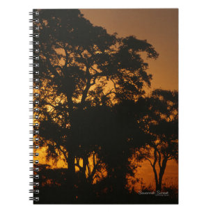 Savannah Sunset Foto Notebook Notizblock
