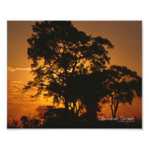 Savannah Sunset Fotodruck