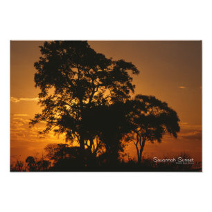Savannah Sunset Fotodruck