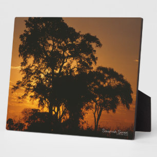 Savannah Sunset Fotoplatte