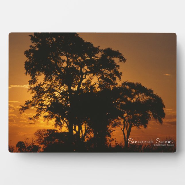 Savannah Sunset Fotoplatte (Vorderseite)