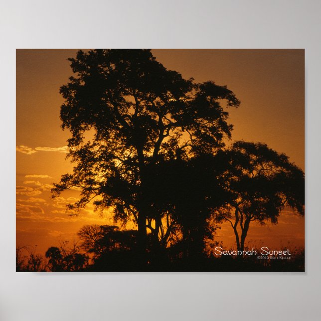 Savannah Sunset Poster (Vorne)