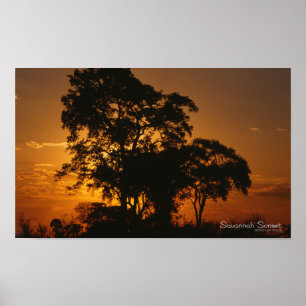 Savannah Sunset Poster