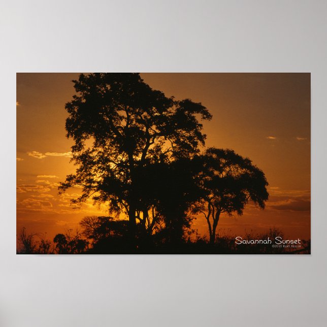 Savannah Sunset Poster (Vorne)