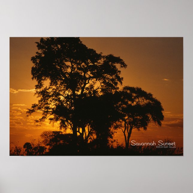 Savannah Sunset Poster (Vorne)