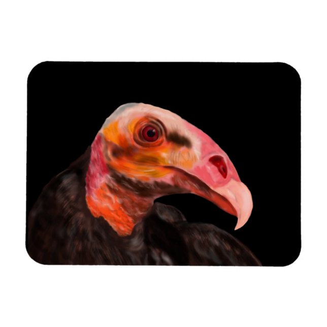 Savannah Vulture Magnet (Horizontal)