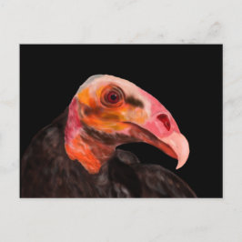 Savannah Vulture Postkarte