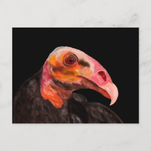 Savannah Vulture Postkarte