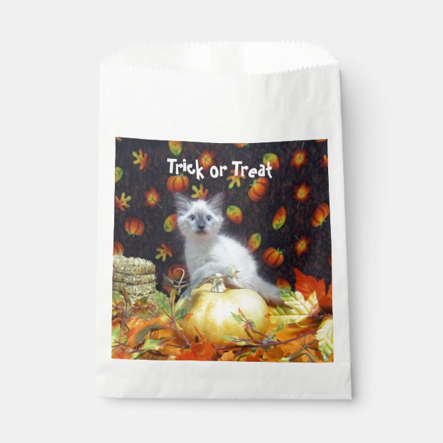 Savannahs Halloween Cat / Kitten Leckerei / Geschenktütchen (Vorderseite)