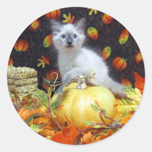 Savannahs Herbst- / Autumn- / Halloween-Katzen-Sti Runder Aufkleber