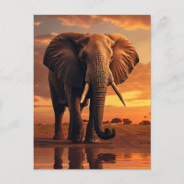 Savannahs Majesty Postkarte