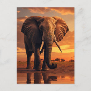 Savannahs Majesty Postkarte