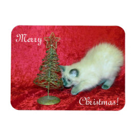 Savannahs Weihnachtsmagnet - Katze / Kitten Magnet