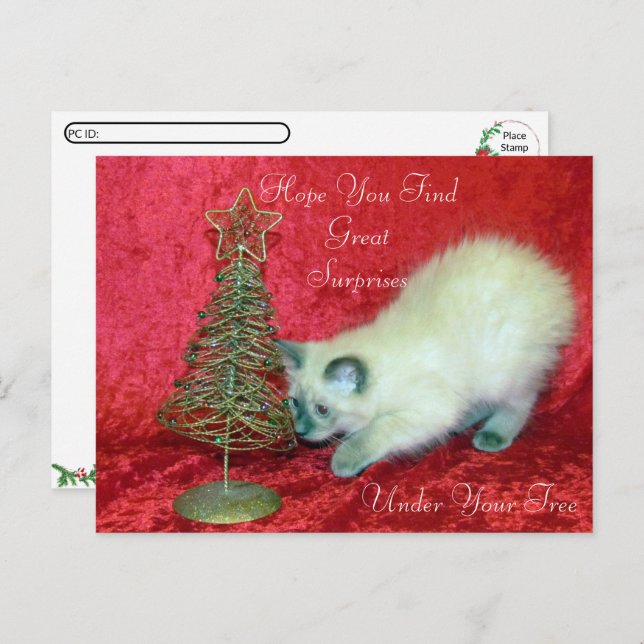 Savannahs Weihnachtsüberraschung - balinesische Ka Postkarte (Vorne/Hinten)