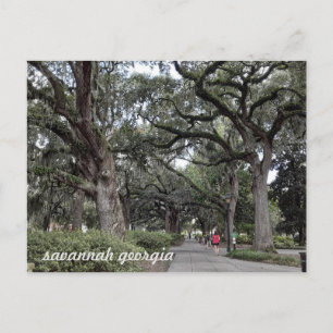 Savanne Georgia im Park Postkarte