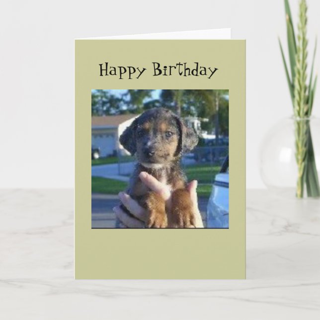 Savanne Karte (Vorderseite)