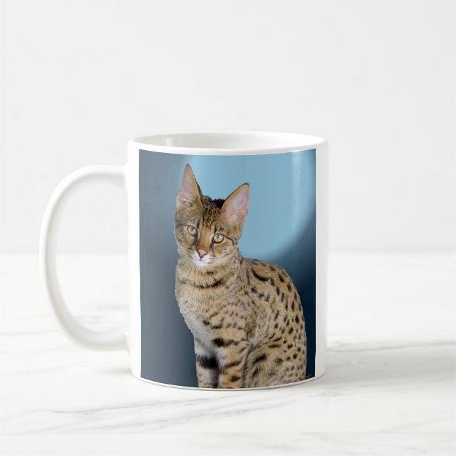 Savanne-Katze Tasse (Links)