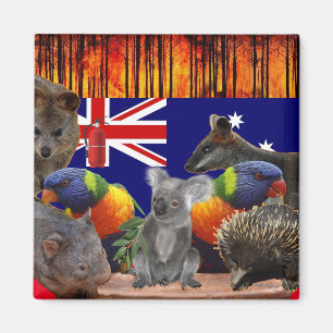 Save Our Homes - Feuerlöguish Magnet