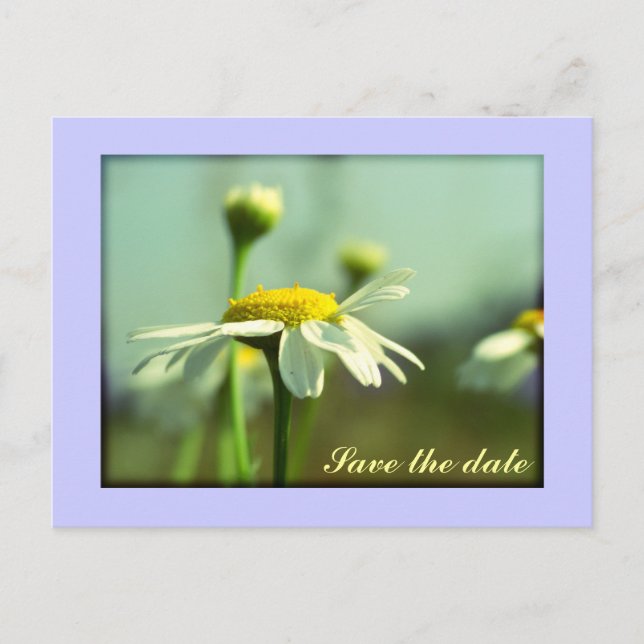 Save the Date Ankündigungspostkarte (Vorderseite)