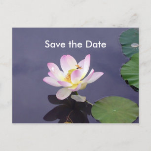 Save the Date Ankündigungspostkarte