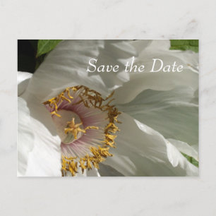 Save the Date Ankündigungspostkarte