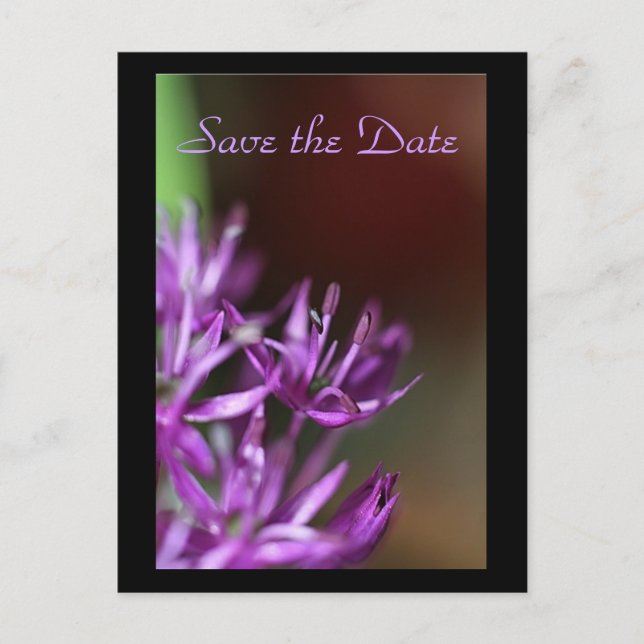 ,Save The Date Ankündigungspostkarte (Vorderseite)