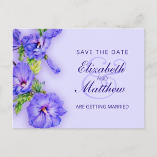 Save the Date Anstrichter Hibiskus auf Postkarte