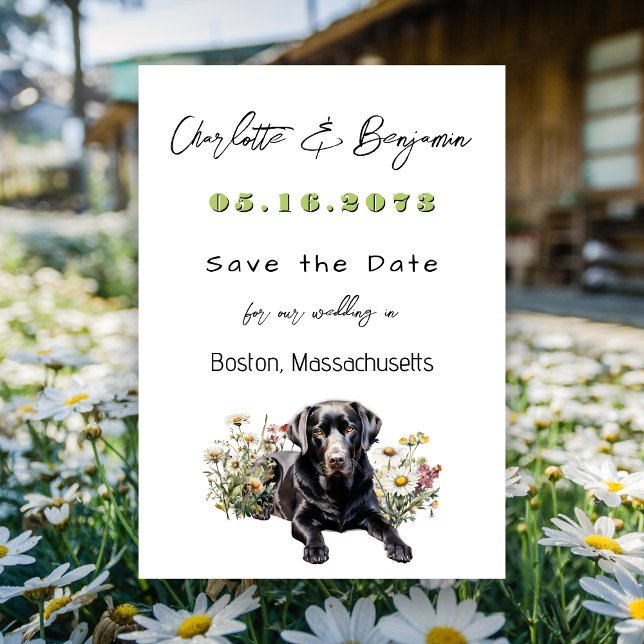 Save the Date Black Lab Hochzeitsankündigung (Von Creator hochgeladen)