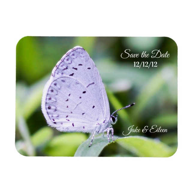 Save the Date Butterfly Wedding Magnet (Horizontal)