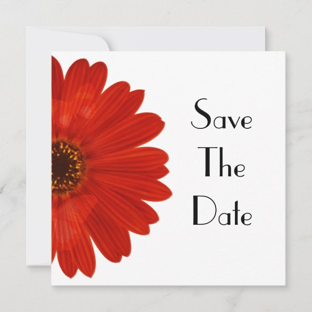 Save the Date Daisy (Vorderseite)