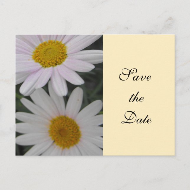 Save the Date, daisy Blume Ankündigungspostkarte (Vorderseite)
