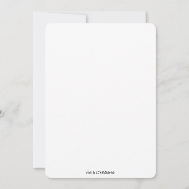 Save the Date! Einladung (Rückseite)