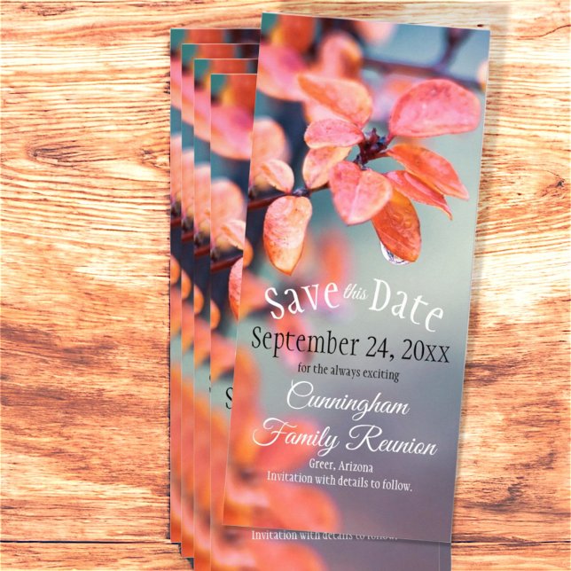 Save the Date Familie Wiedersehen Autumn Leaves Bo Werbekarte (front save the date template rack card)
