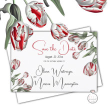Save The Date | Floral Red & White Rembrandt Tulip