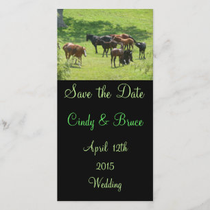 Save the Date Fotokarten