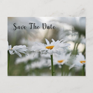 Save the Date Geburtstagskarte Ankündigungspostkarte