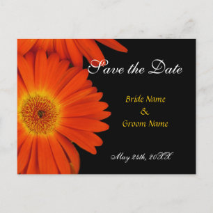 Save the Date, Gerbera daisy Ankündigungspostkarte