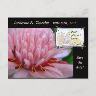 Save the Date Hochzeitspostkarten Benutzerdefinier Ankündigungspostkarte