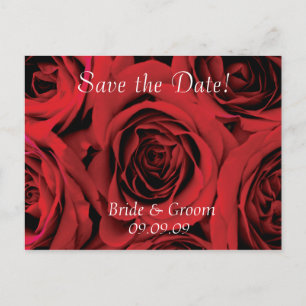 Save the Date Hochzeitspostkarten-Rote Rosen Ankündigungspostkarte