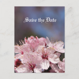 Save the Date Kirschblüte Ankündigungspostkarte