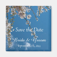 Save the Date, Kirschblüten Zweige in blauem Himme
