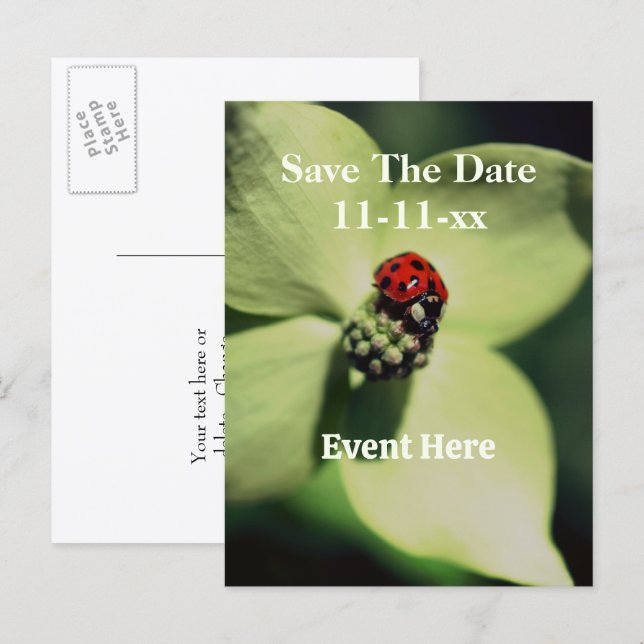 Save The Date Ladybug On Flower  Ankündigungspostkarte (Vorne/Hinten)