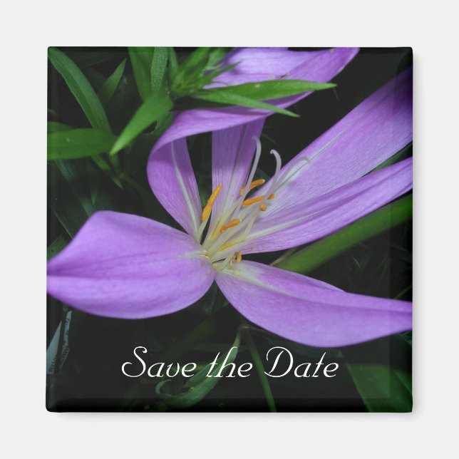Save the Date Magnet (Vorne)