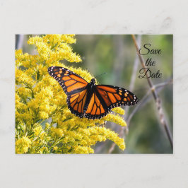 Save the Date Monarch Butterfly Postcard Ankündigungspostkarte
