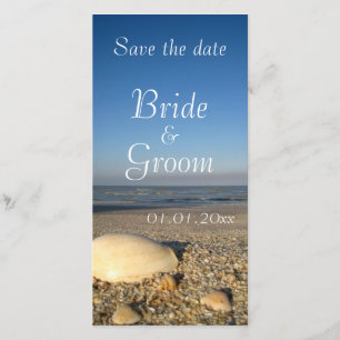 SAVE THE DATE - Muscheln am Strand