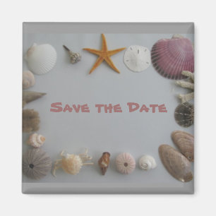 Save the Date/Muscheln Magnet