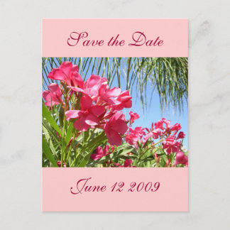Save the Date Oleander Post Card Ankündigungspostkarte